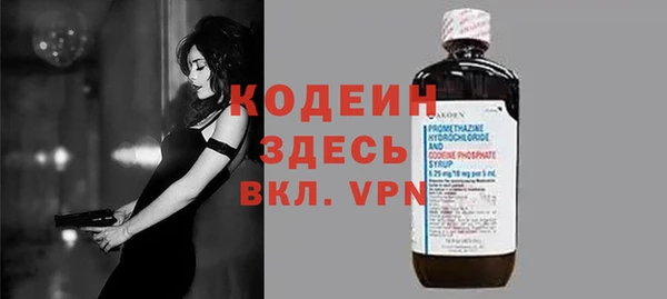 молекула духа Арсеньев