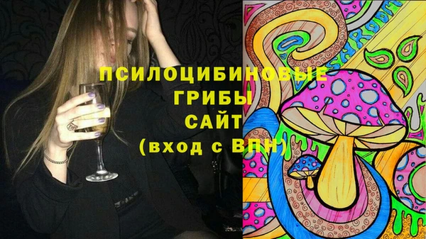 молекула духа Арсеньев