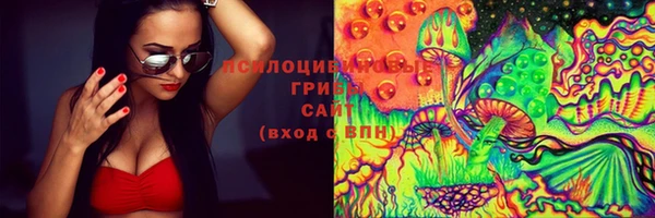 молекула духа Арсеньев