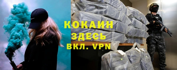 молекула духа Арсеньев